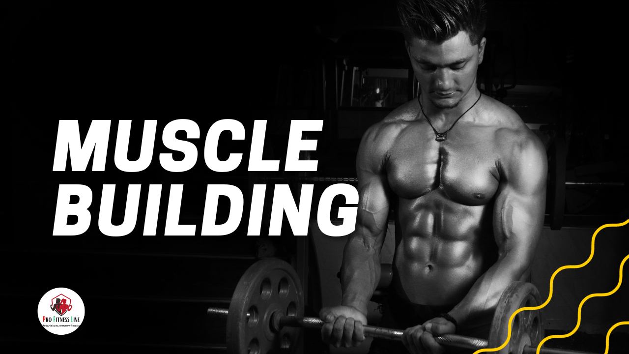 Muscle Building Strategies for Optimal Gains